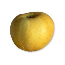 Pomme Chantecler